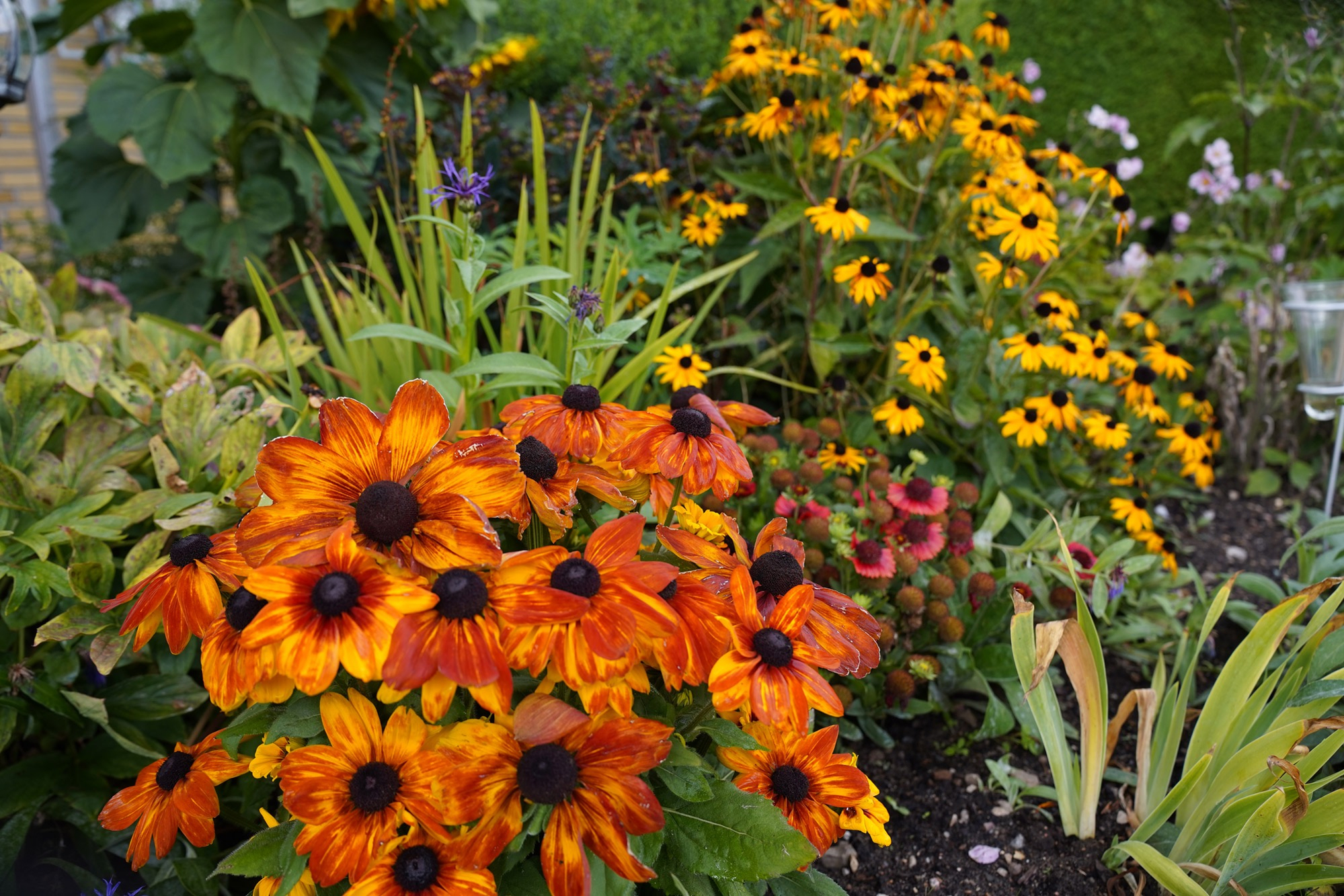 gødning til blomsterbed