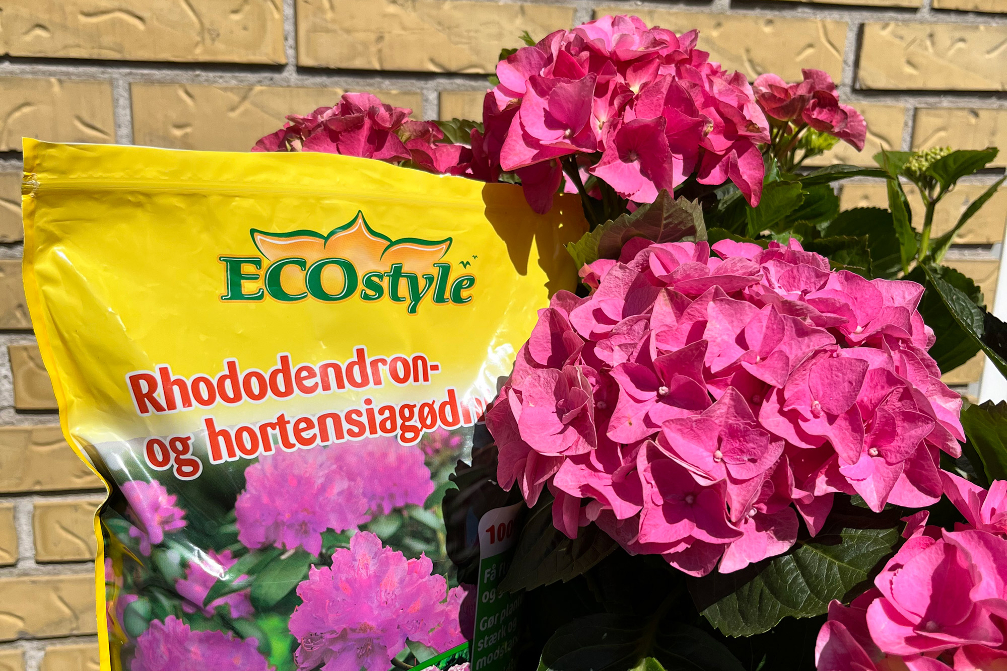 gødning til hortensia i krukker gødning til hortensia i krukker