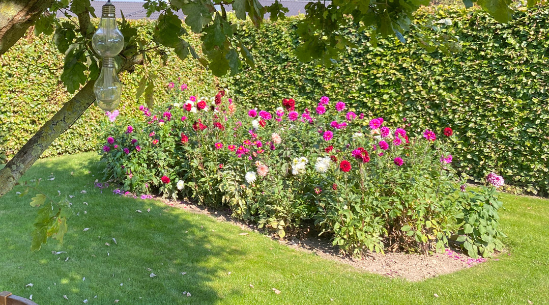 hold dræbersnegle ude af blomsterbedet hold dræbersnegle ude af blomsterbedet