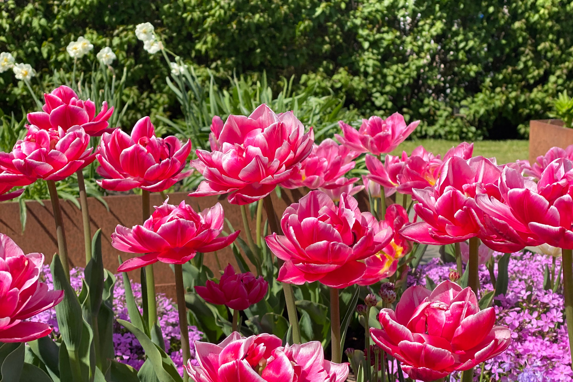 placering-blomsterbed placering-blomsterbed