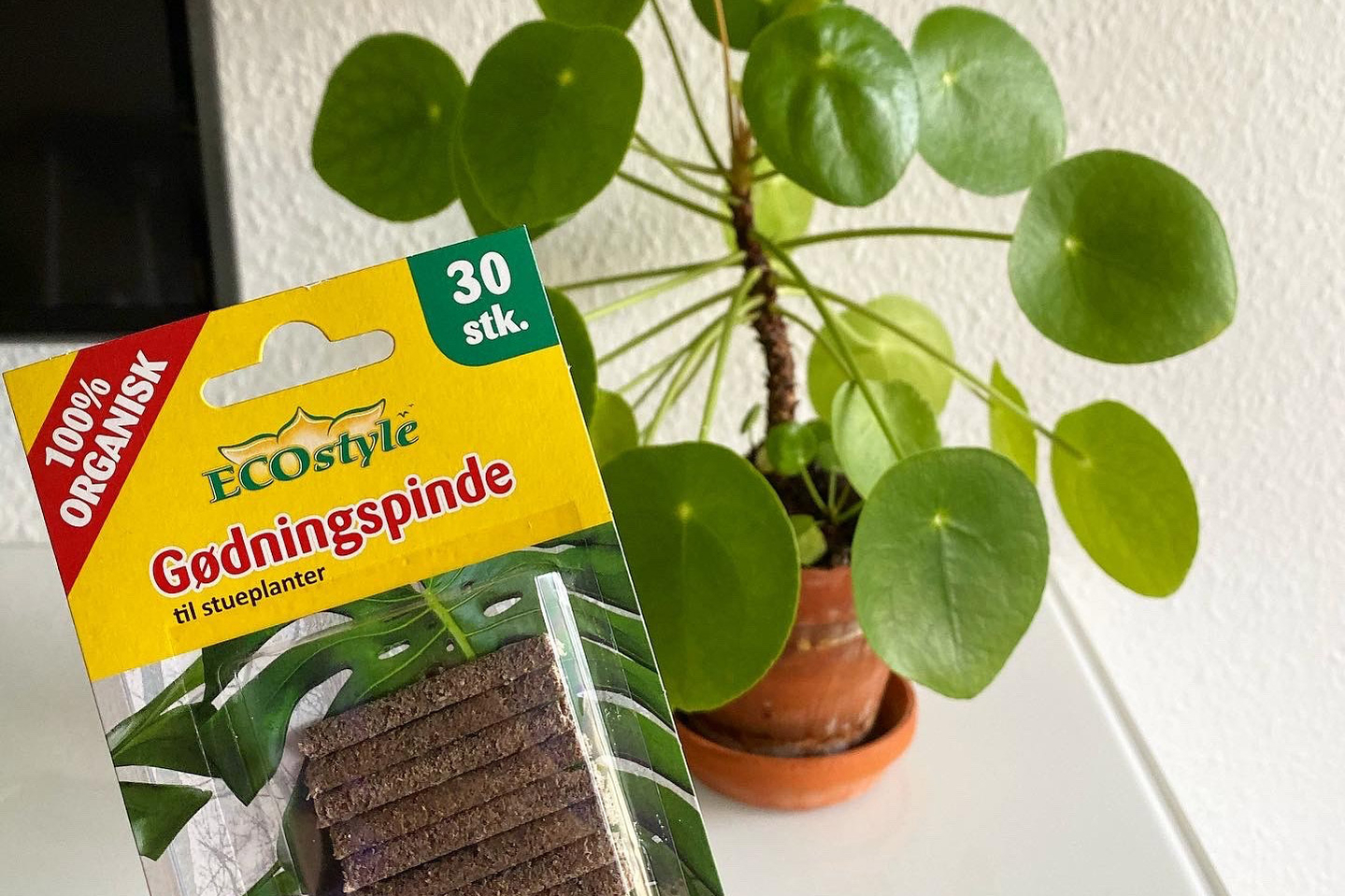 gødningspinde til stueplanter gødningspinde til stueplanter