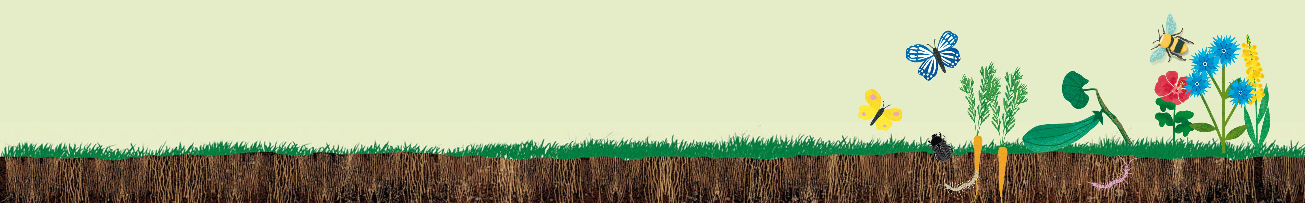 healthy-earth healthy-earth