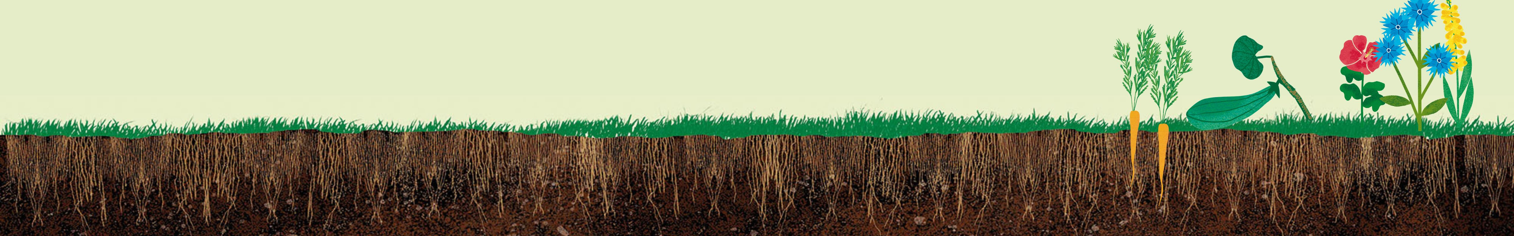 healthy-garden healthy-garden