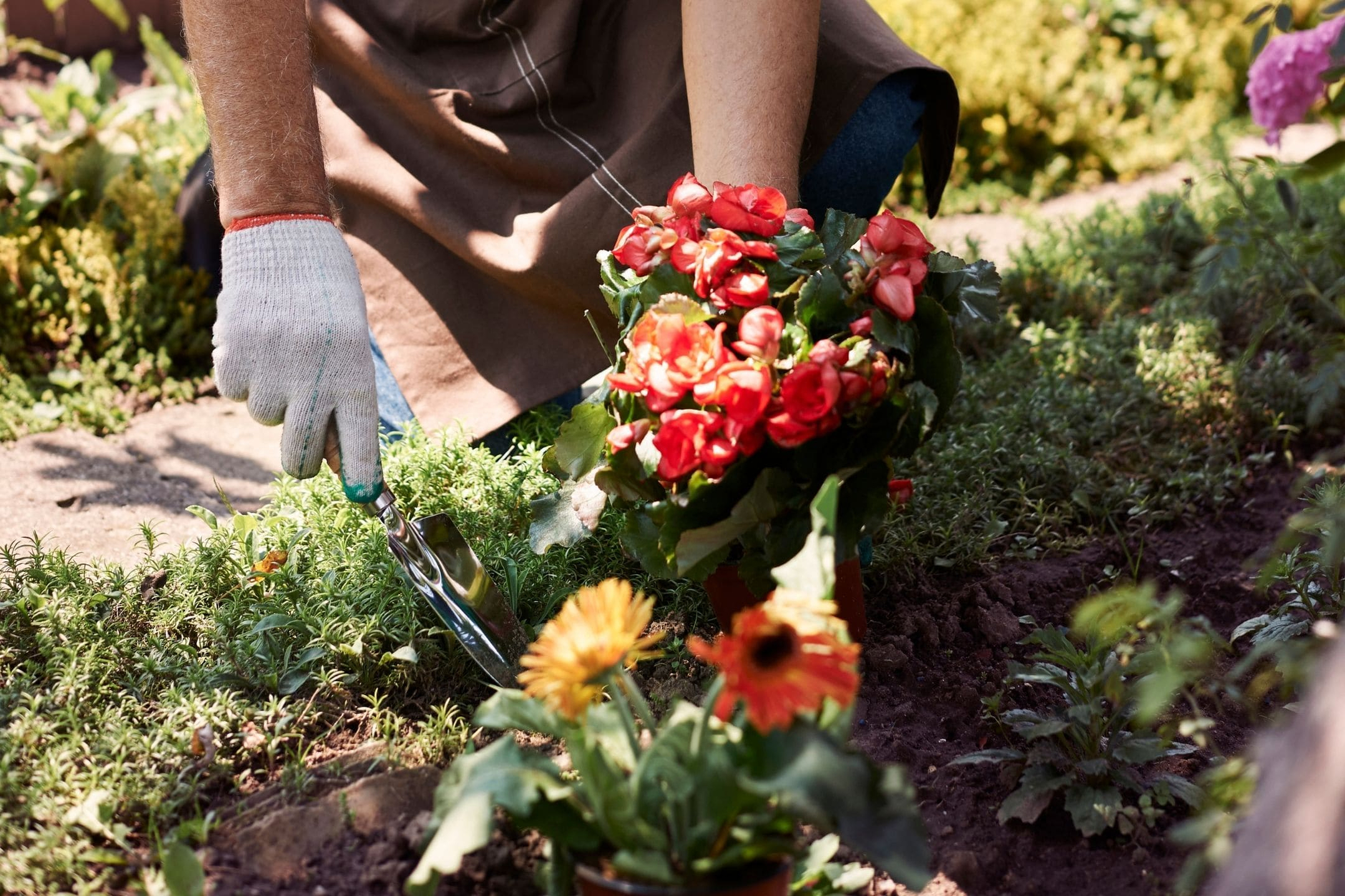 flowers-planting-border-1080
