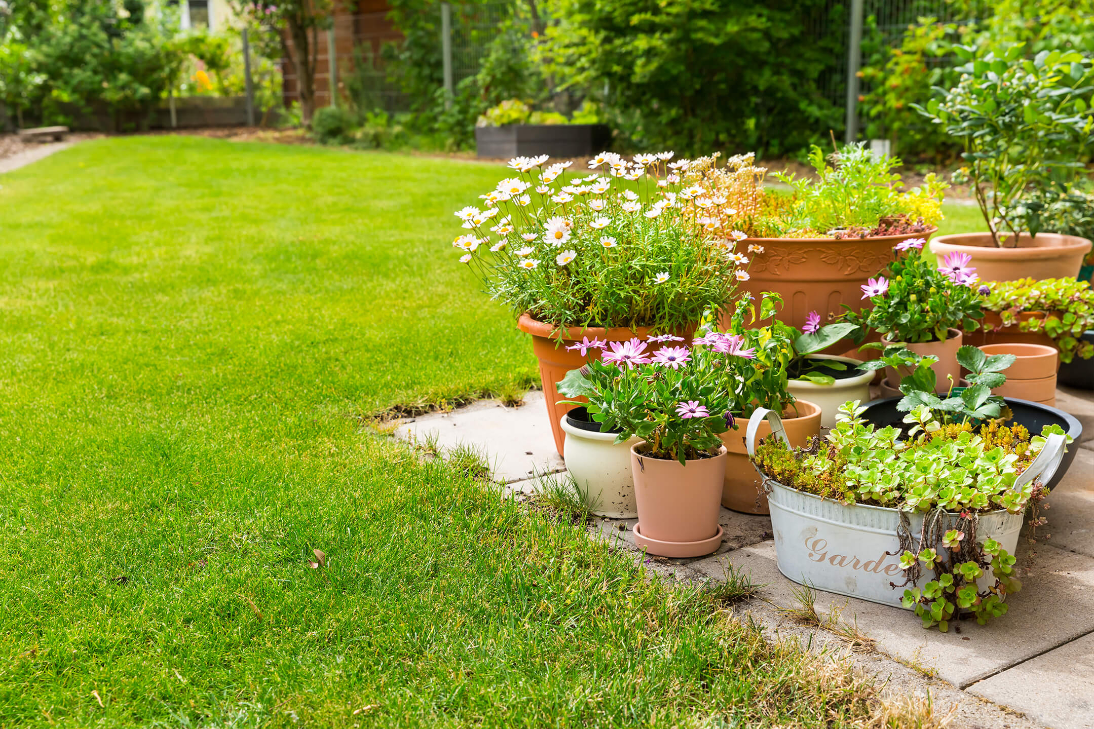 grass-and-terrace-with-plants-1080px
