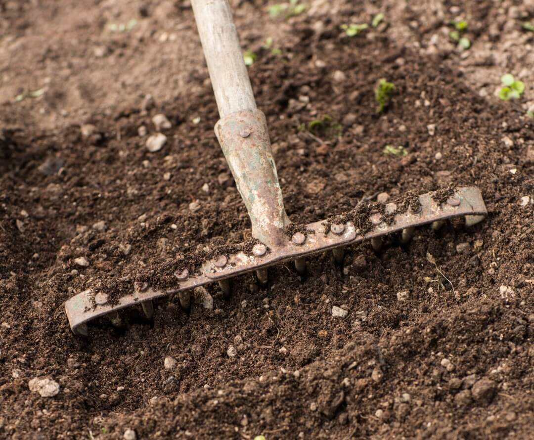soil soil