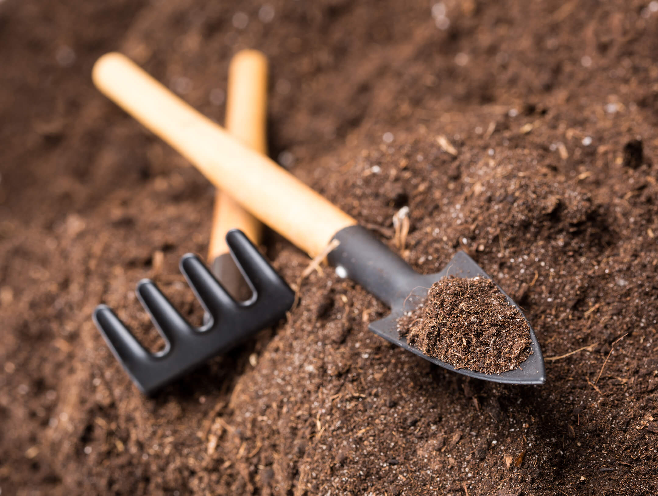 soil-with-gardeningtools-1080px