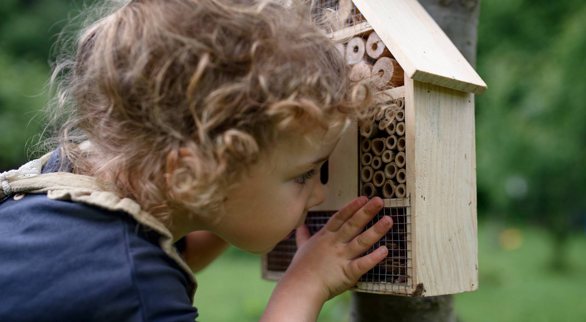 small-girl-playing-with-bug-and-insect-hotel-1920px
