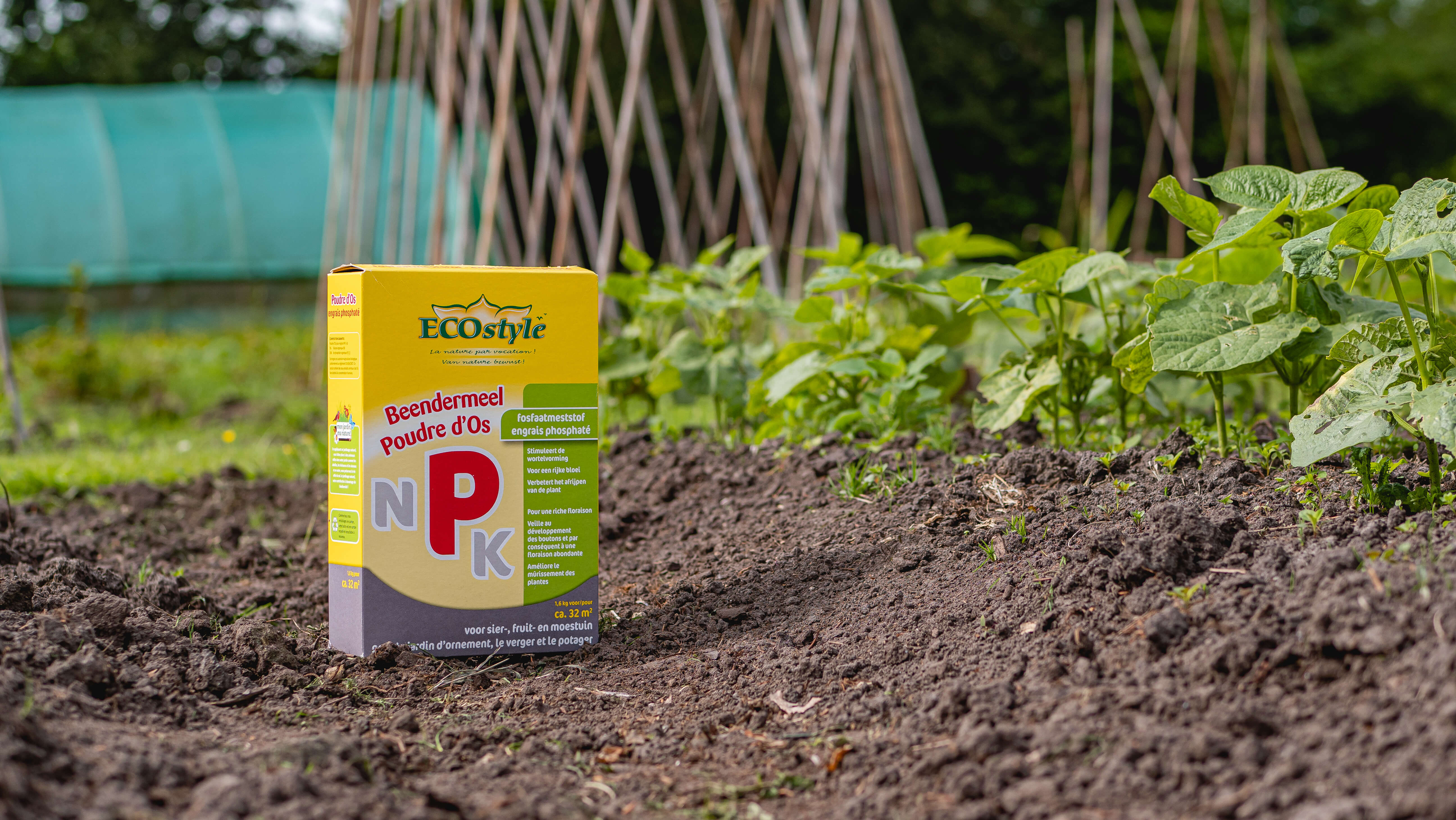 Volle bloemknoppen en rijkbloeiende planten