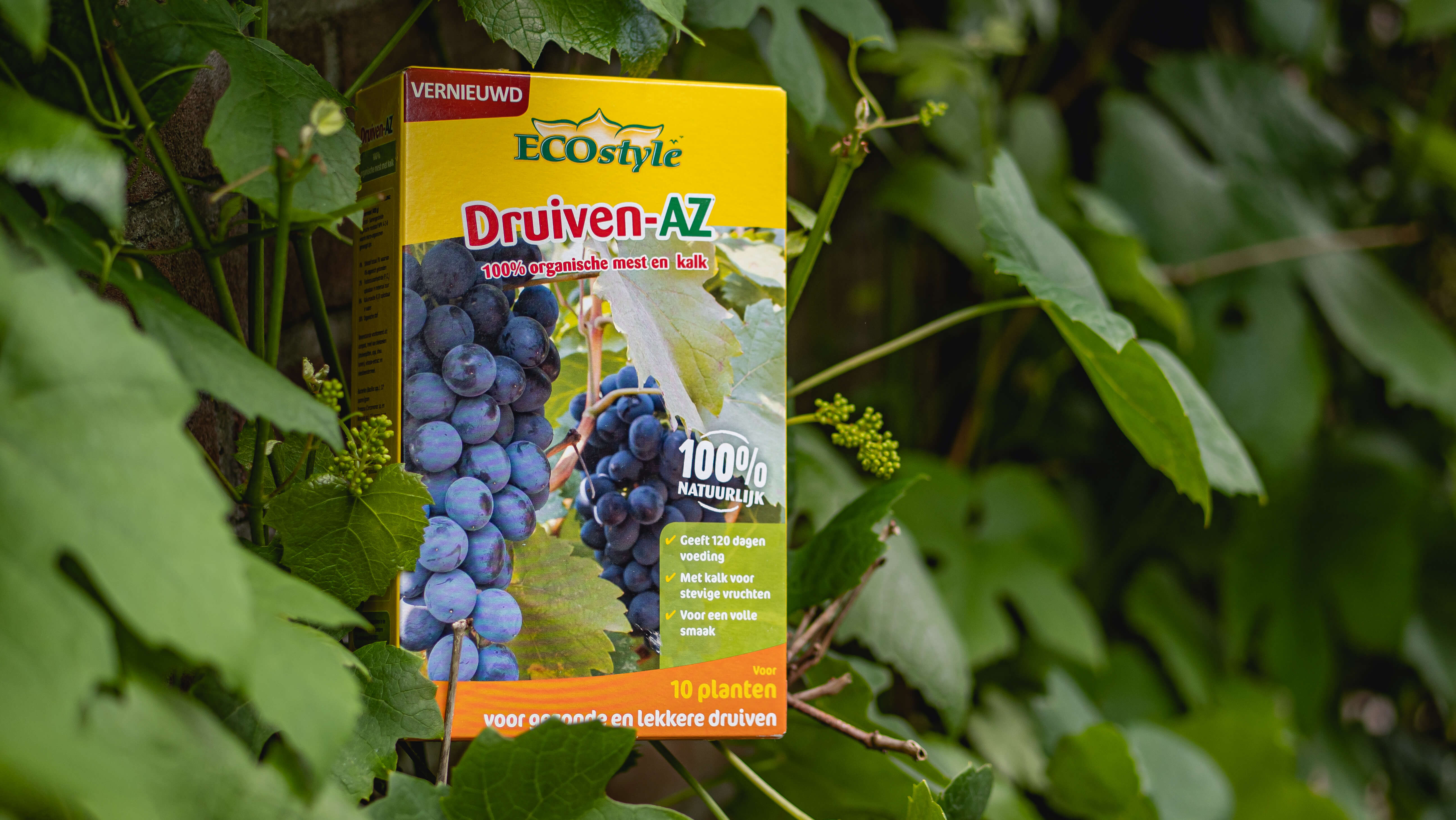 Druiven-AZ 6 Druiven-AZ