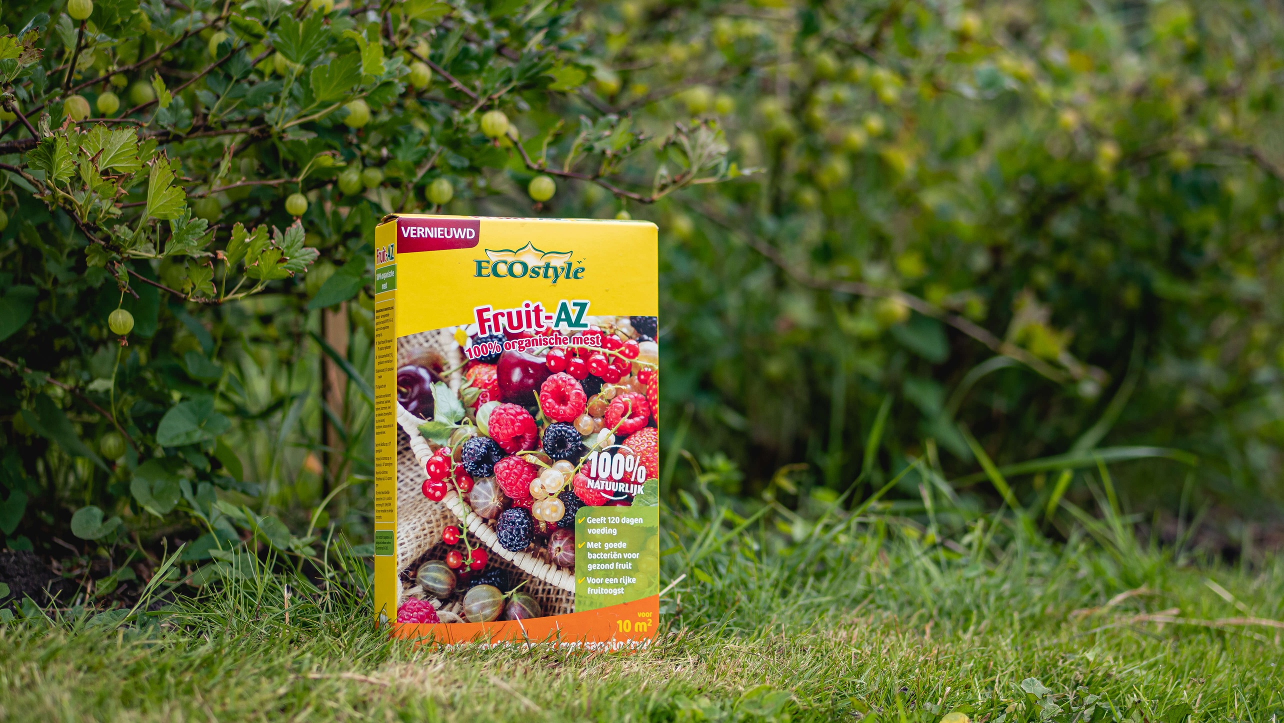 Essentiële voedingsstoffen voor jouw fruitplanten