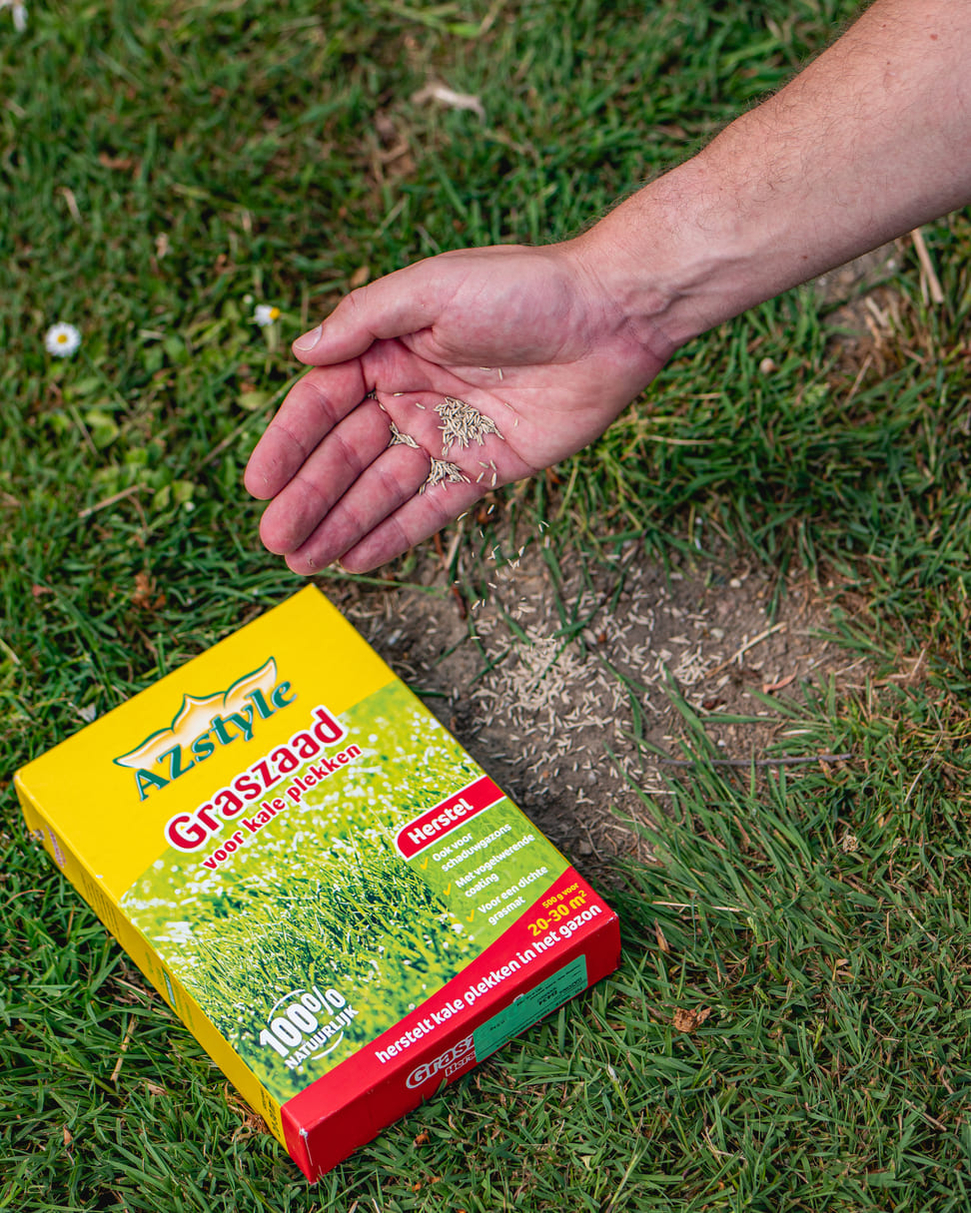 Graszaad voor kale plekken 4 Graszaad voor kale plekken 4