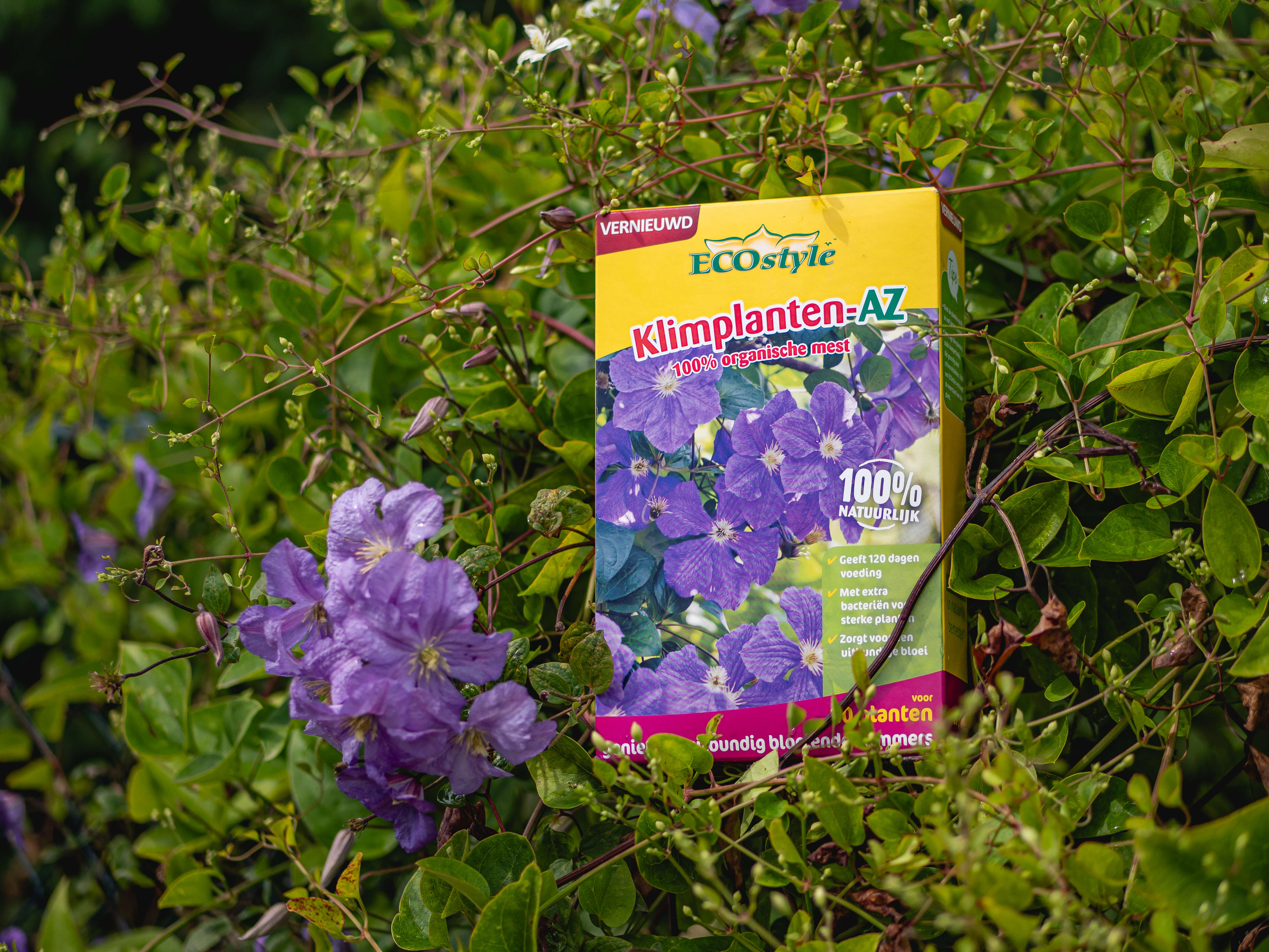 Essentiële voedingsstoffen voor klimplanten als clematis en blauwe regen