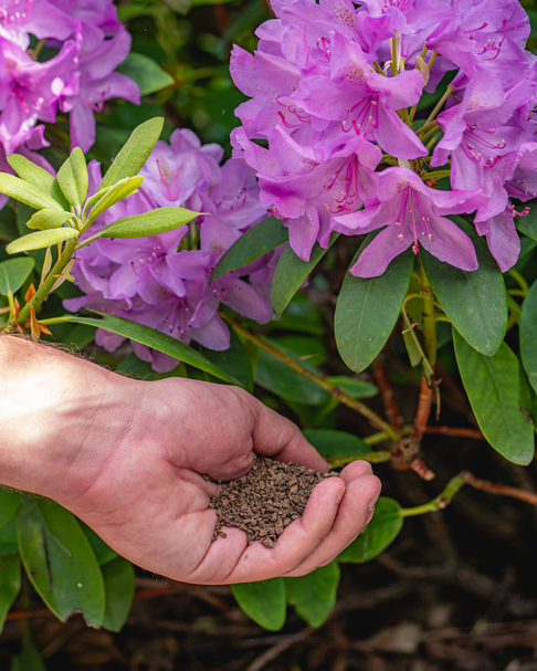 100% organische meststof, voor rijkbloeiende rhododendrons en azalea’s