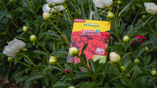 Essentiële voedingsstoffen voor alle soorten rozen