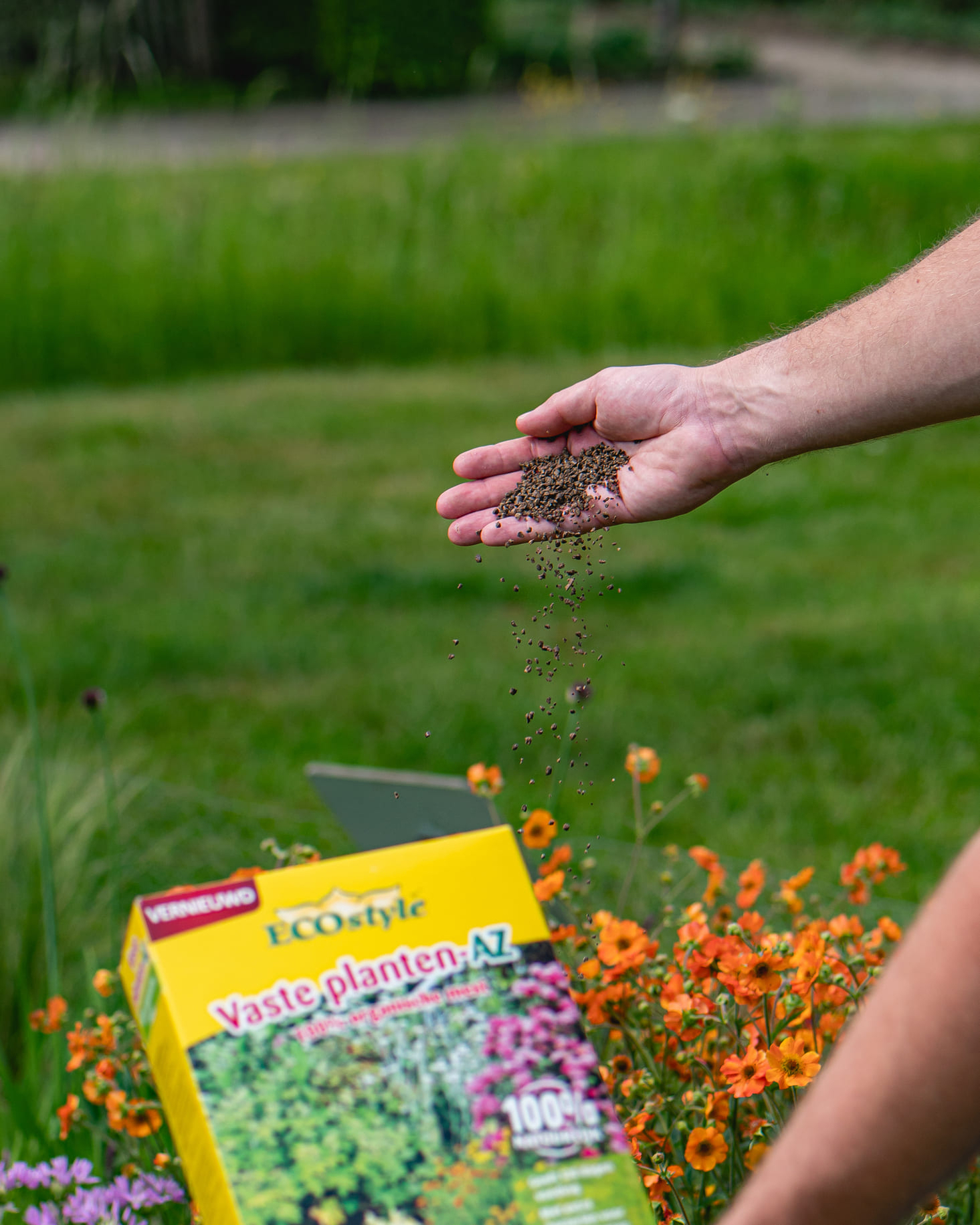 Vaste planten-AZ 4