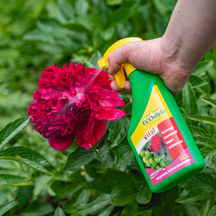 Natuurlijke plantversterker voor vitalere planten