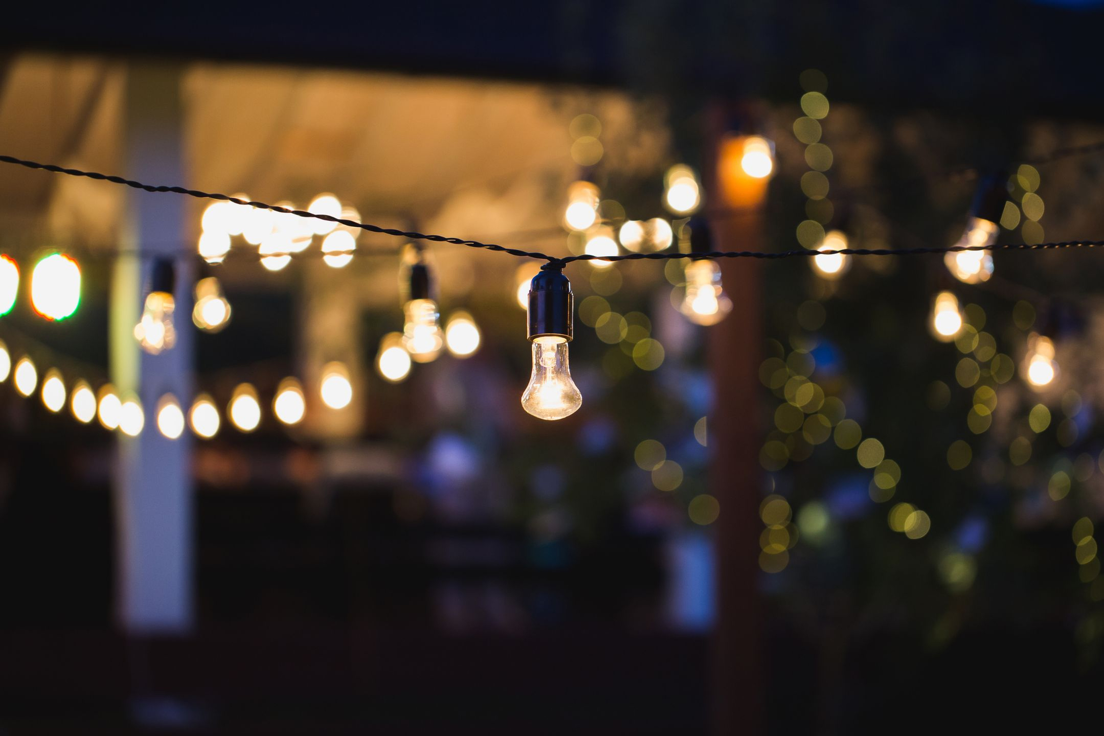 christmas-lights-garden