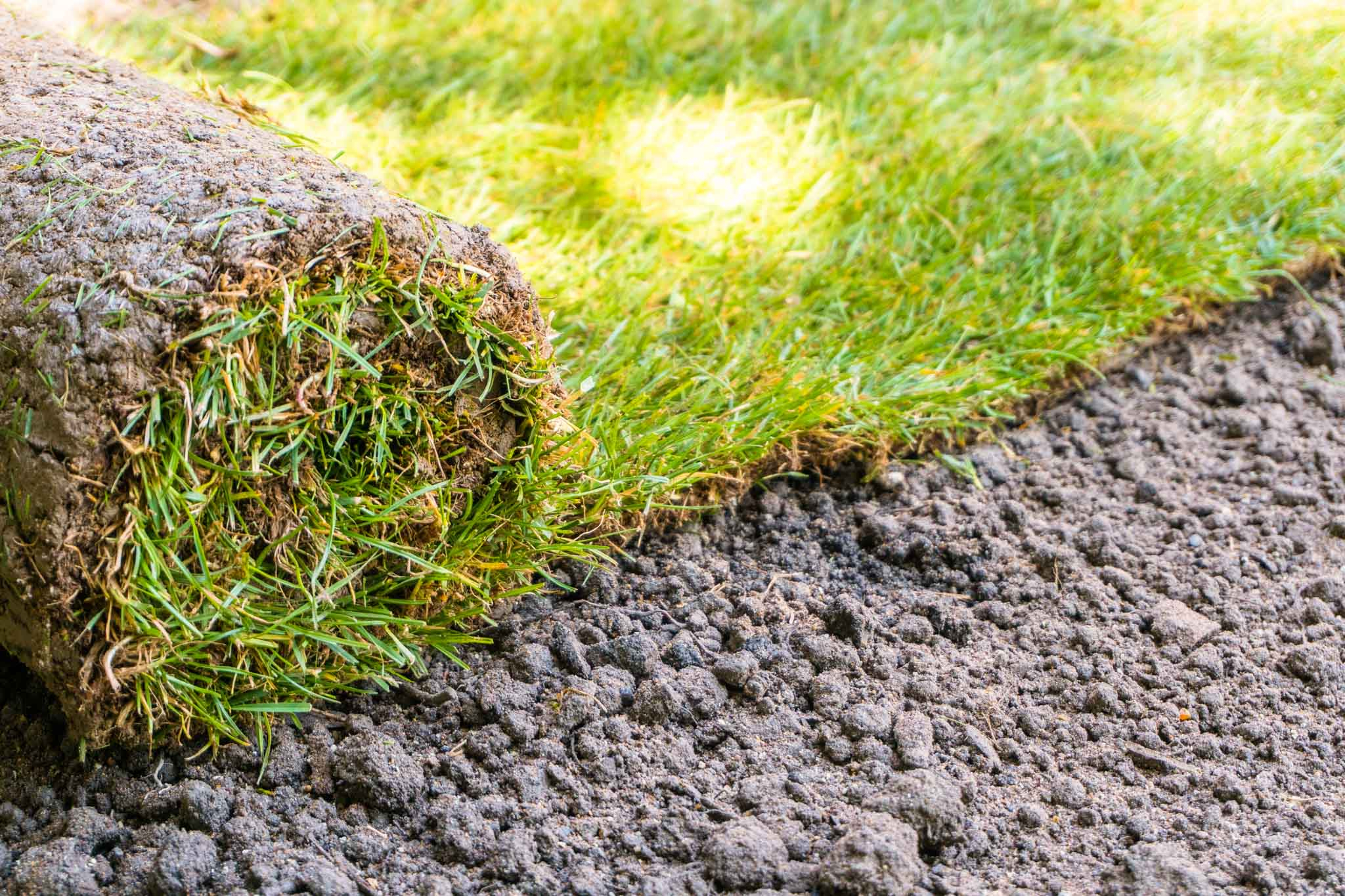 Gazon aanleggen Gazon aanleggen