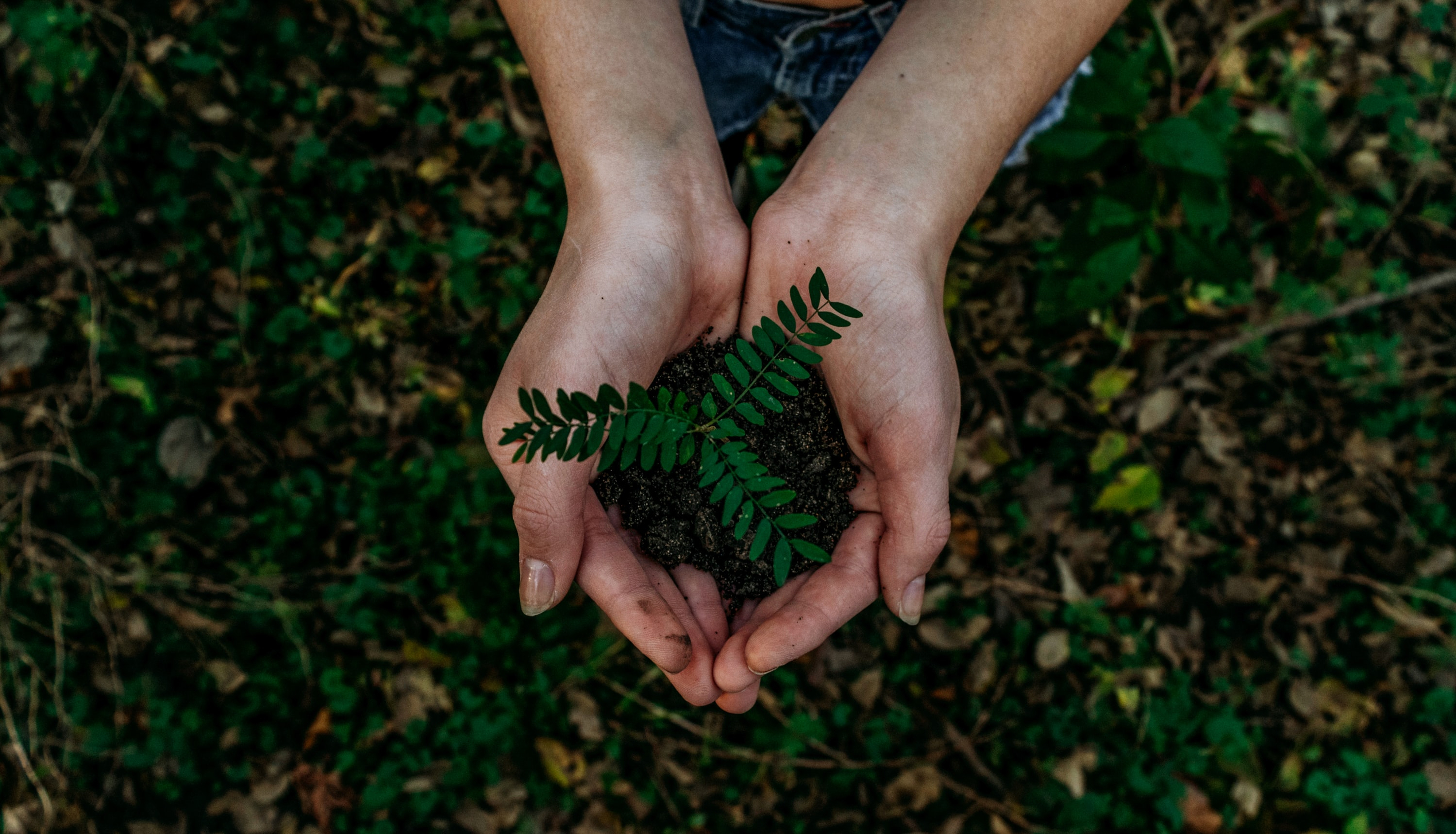noah-buscher-x8ZStukS2PM-unsplash noah-buscher-x8ZStukS2PM-unsplash