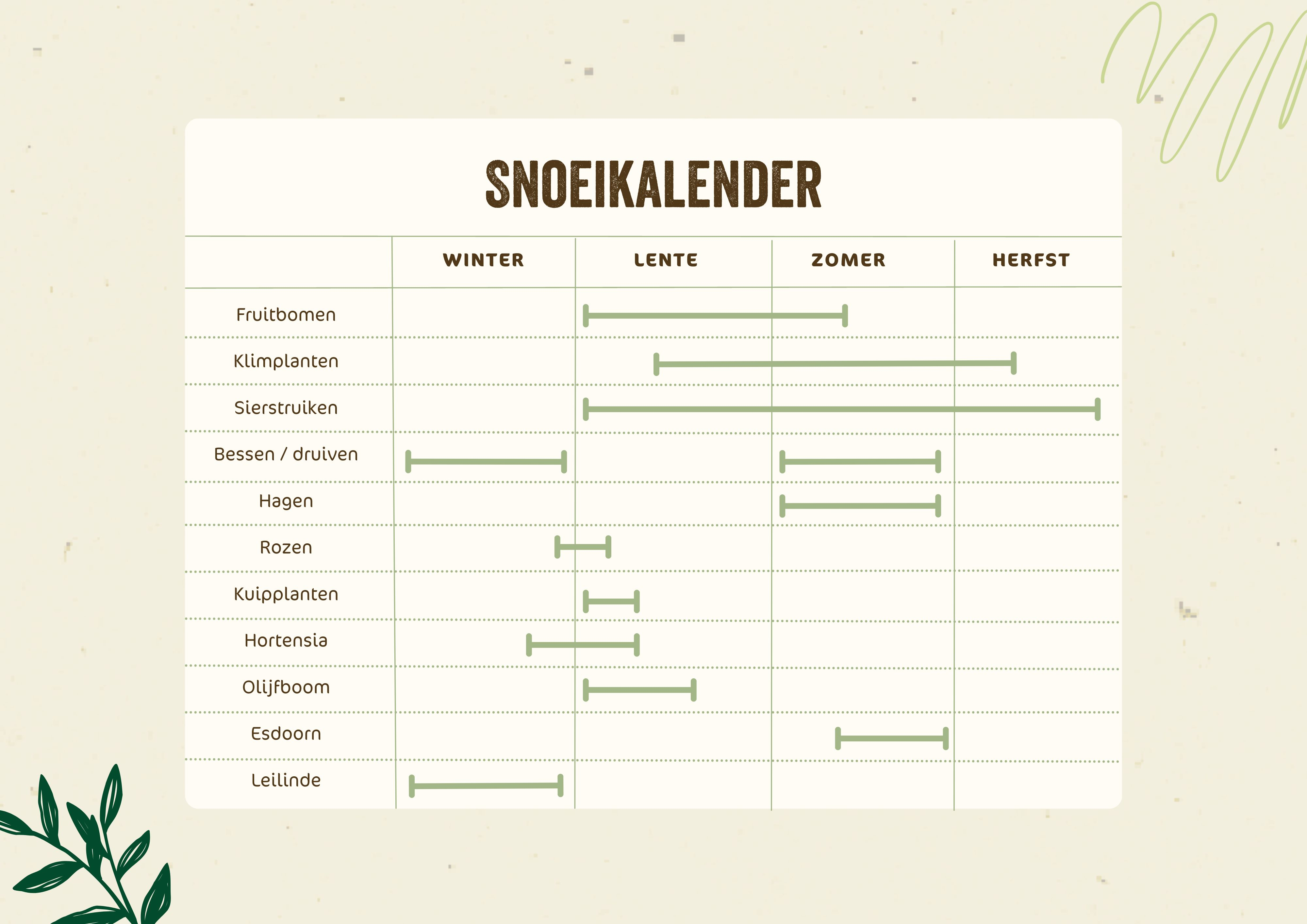 Wanneer Is De Passion Snoeikalender per maand: wat snoei je wanneer? | ECOstyle
