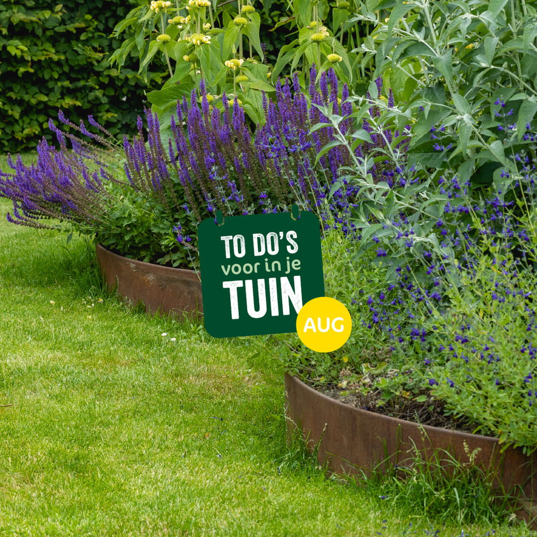 tuin to do augustus