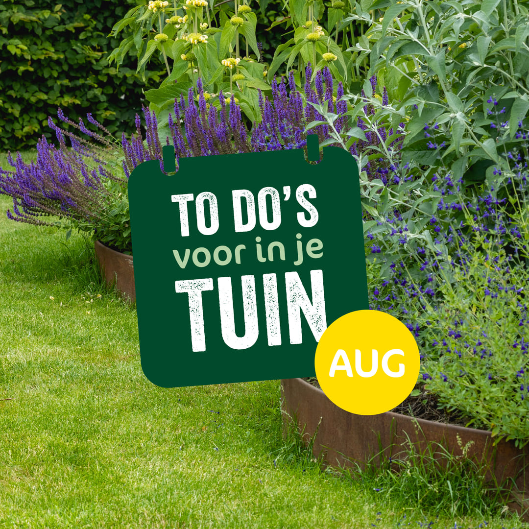 tuin to dos augustus tuin to dos augustus