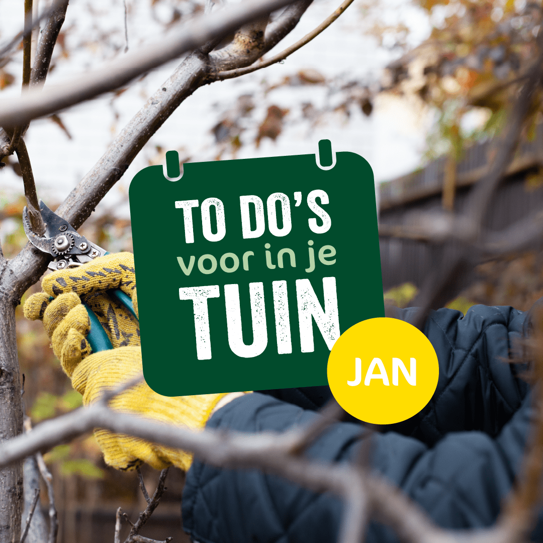 tuinkalender januari groot tuinkalender januari groot