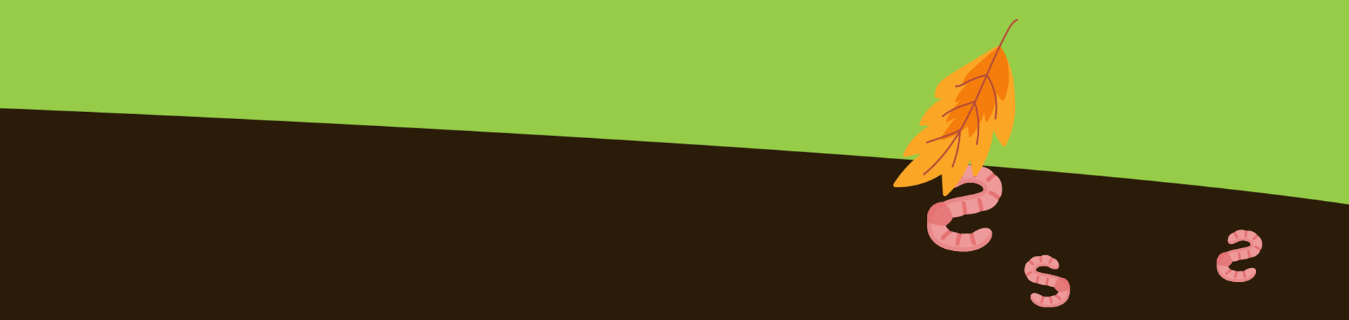 worm worm
