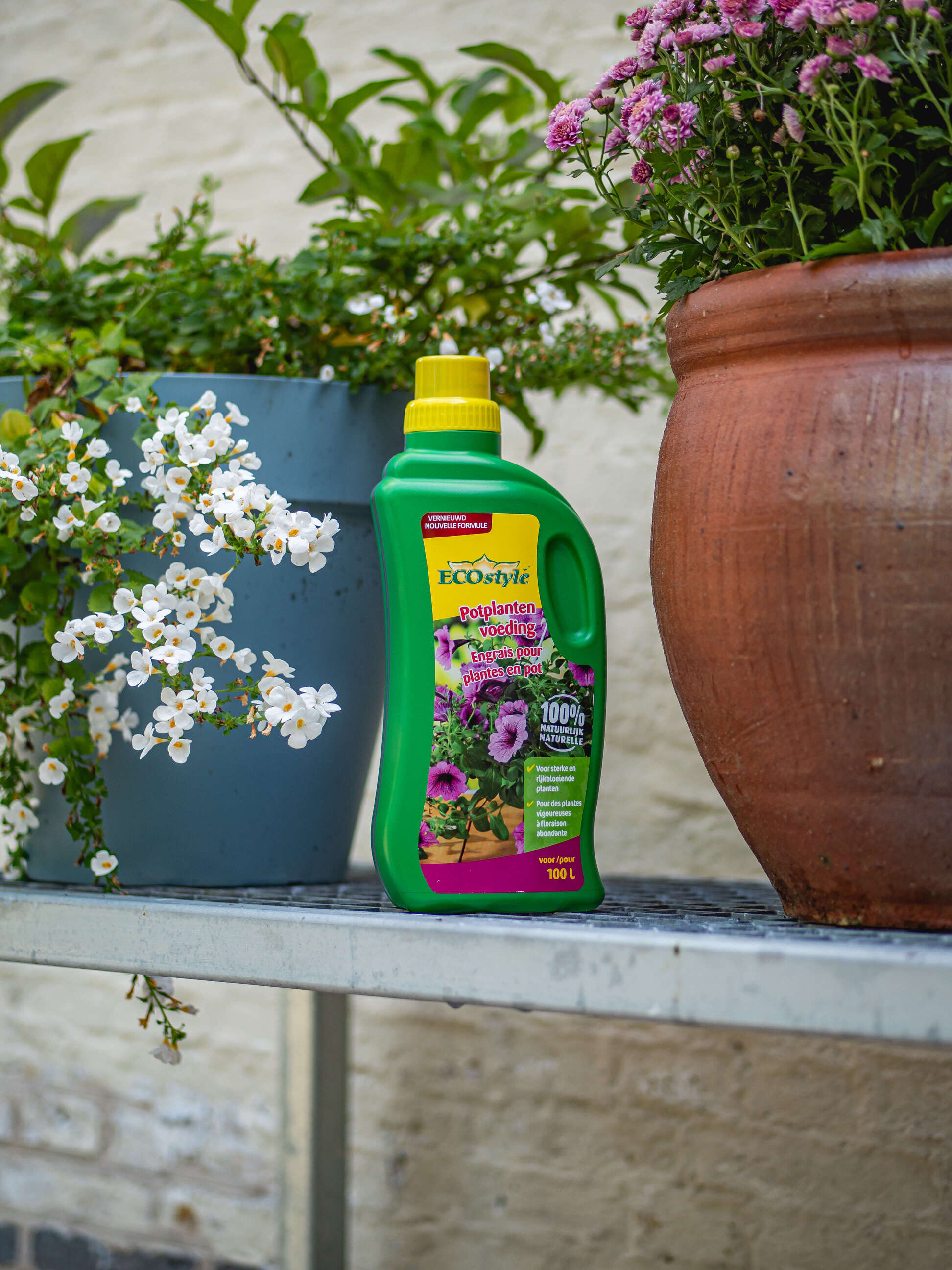 Voor gezonde potplanten