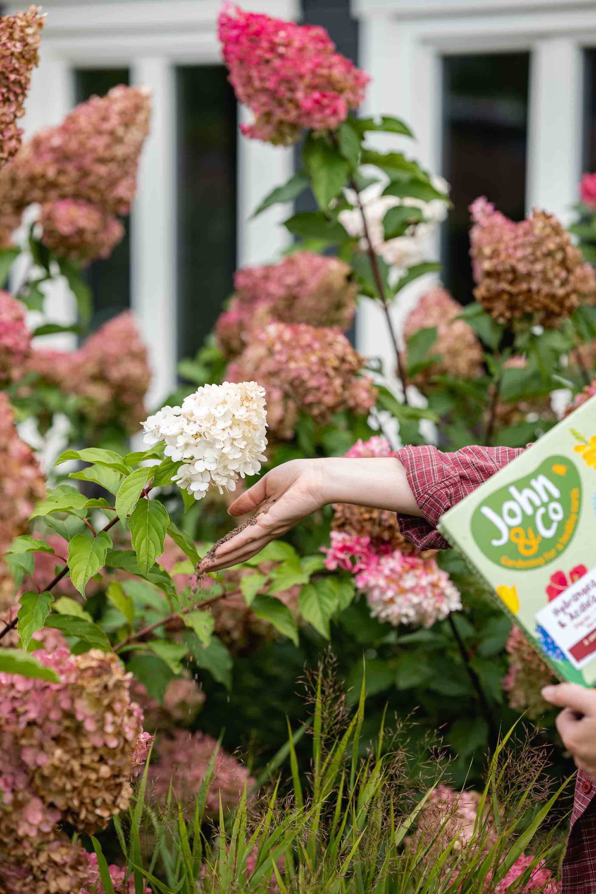 Pour des floraisons riches aux couleurs éclatantes