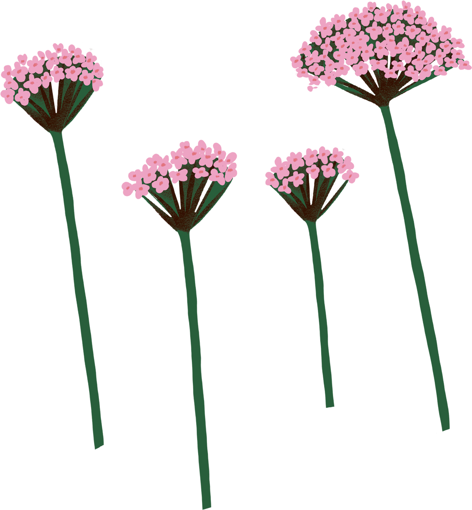 bloem2 bloem2