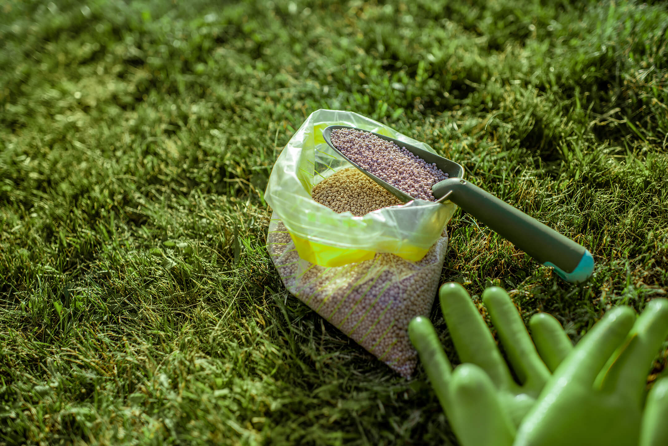 grass-fertilize-and-working-gloves-on-the-grass-1000px grass-fertilize-and-working-gloves-on-the-grass-1000px