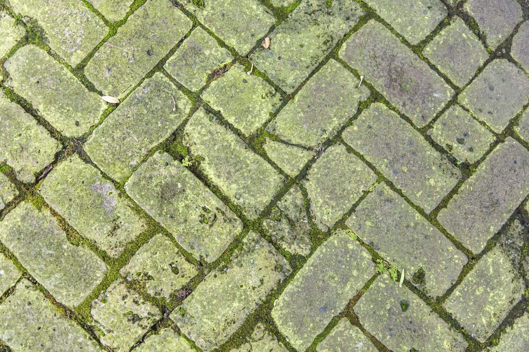 Groene aanslag Groene aanslag