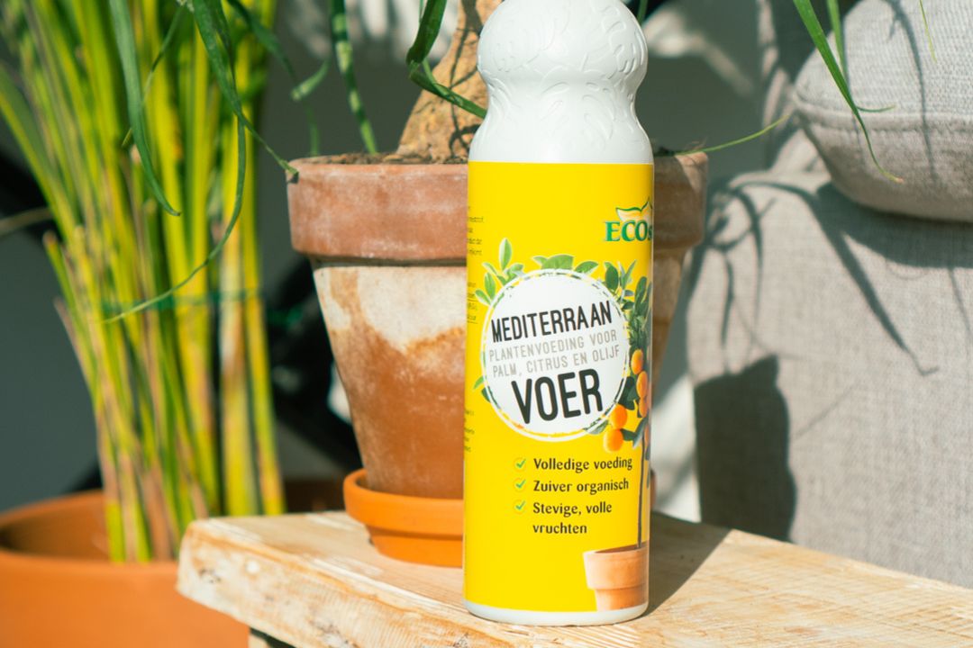 Mediterraanvoer Mediterraanvoer
