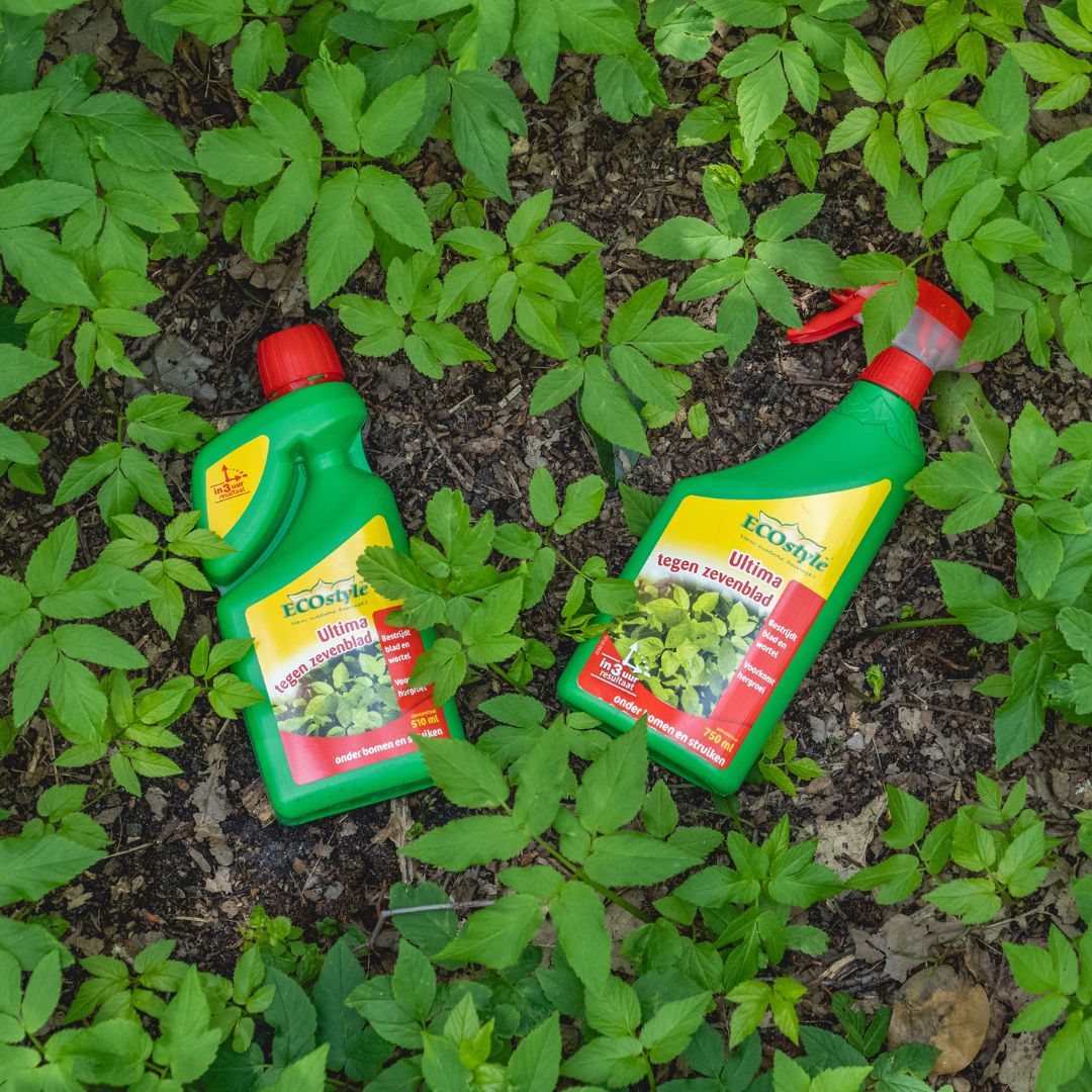 Snelle en effectieve werking, voor een schoon en mooi terras