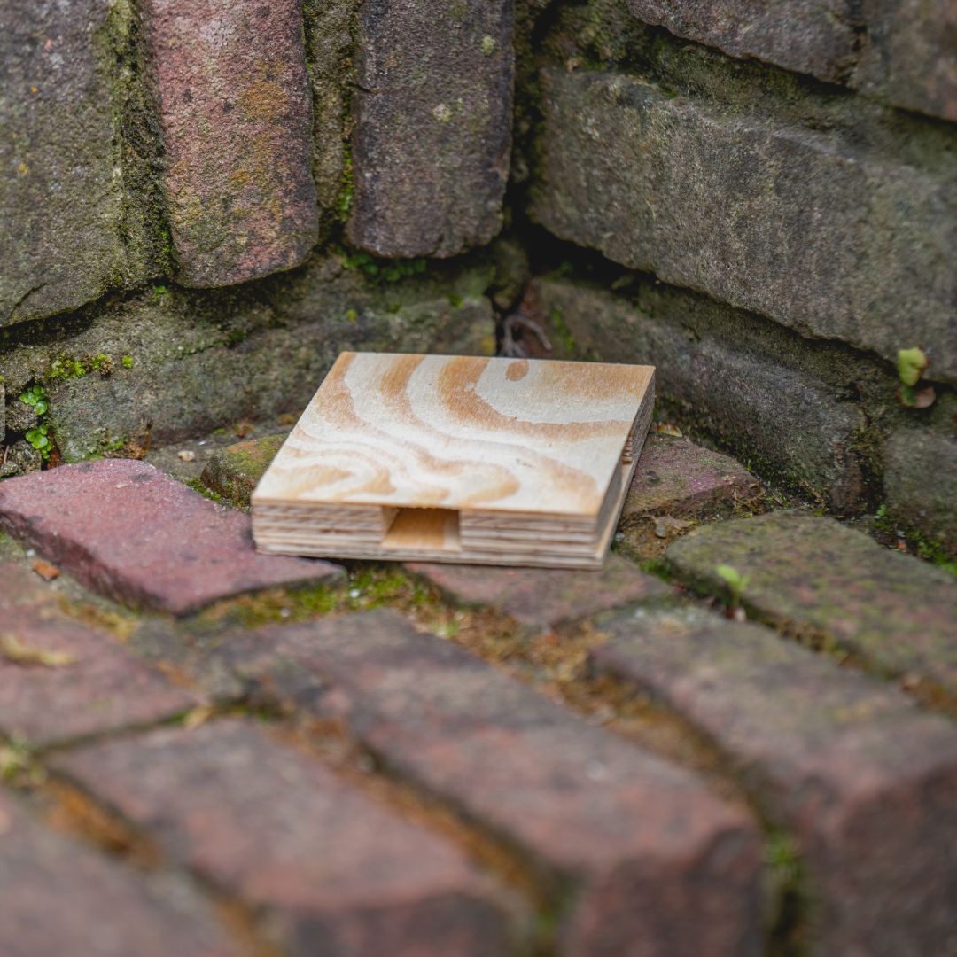 Bestrijd pissebedden met de aaltjesval