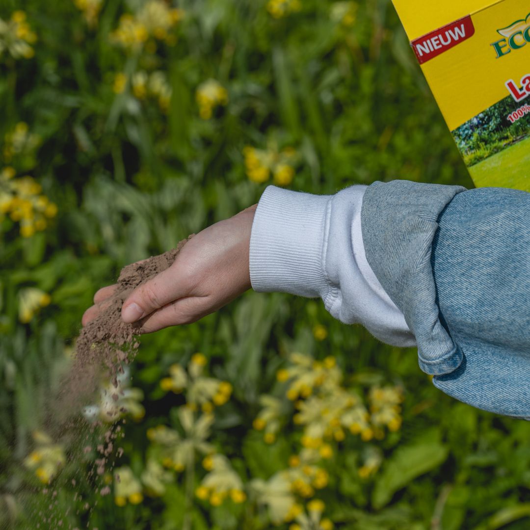 Versterk je planten, maak ze weerbaarder tegen plagen