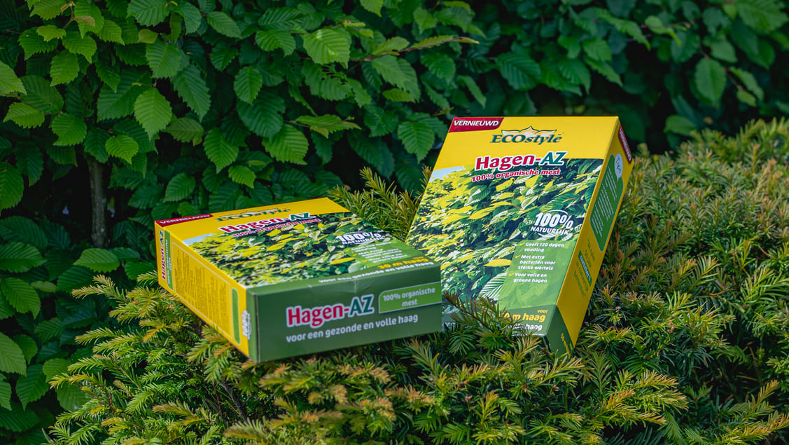 Hagen-AZ 5 Hagen-AZ 5