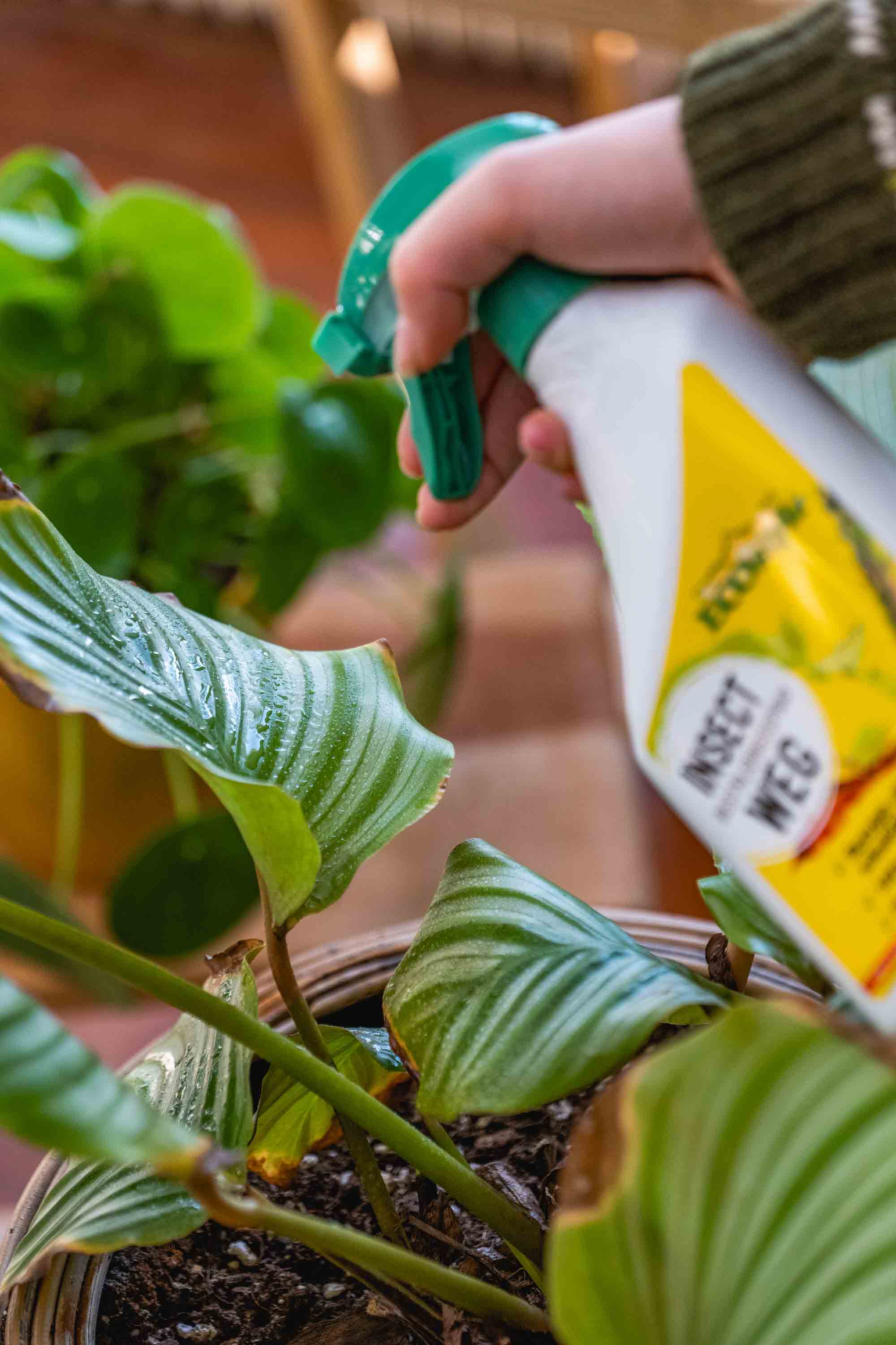 Voor gezonde planten