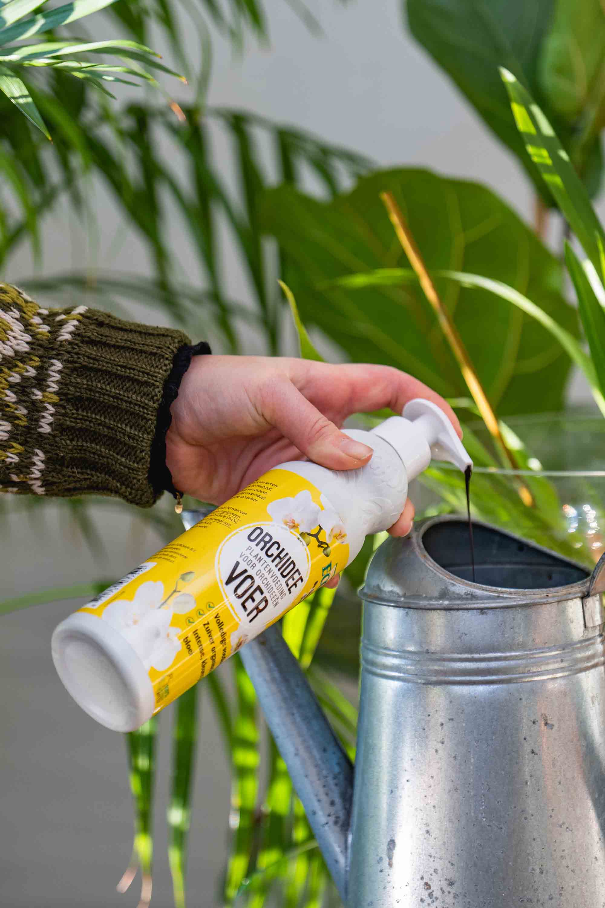 Voor volle, gezonde planten