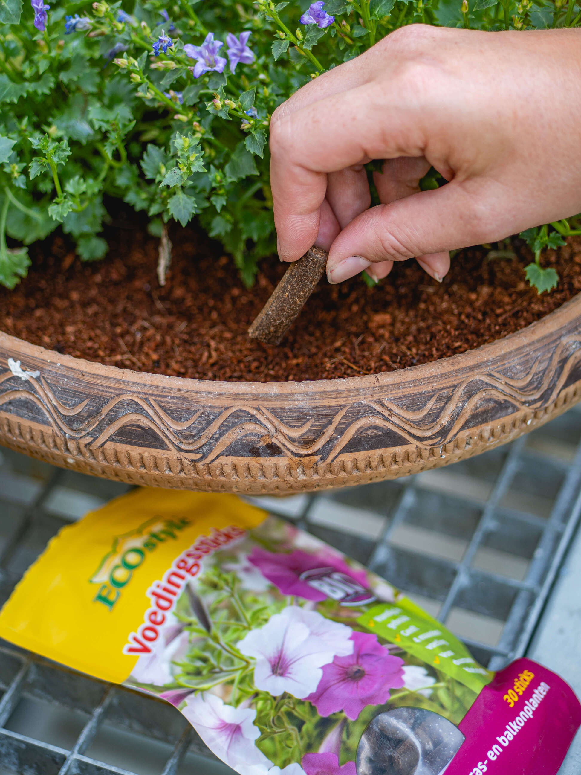 Voor volle, gezonde planten