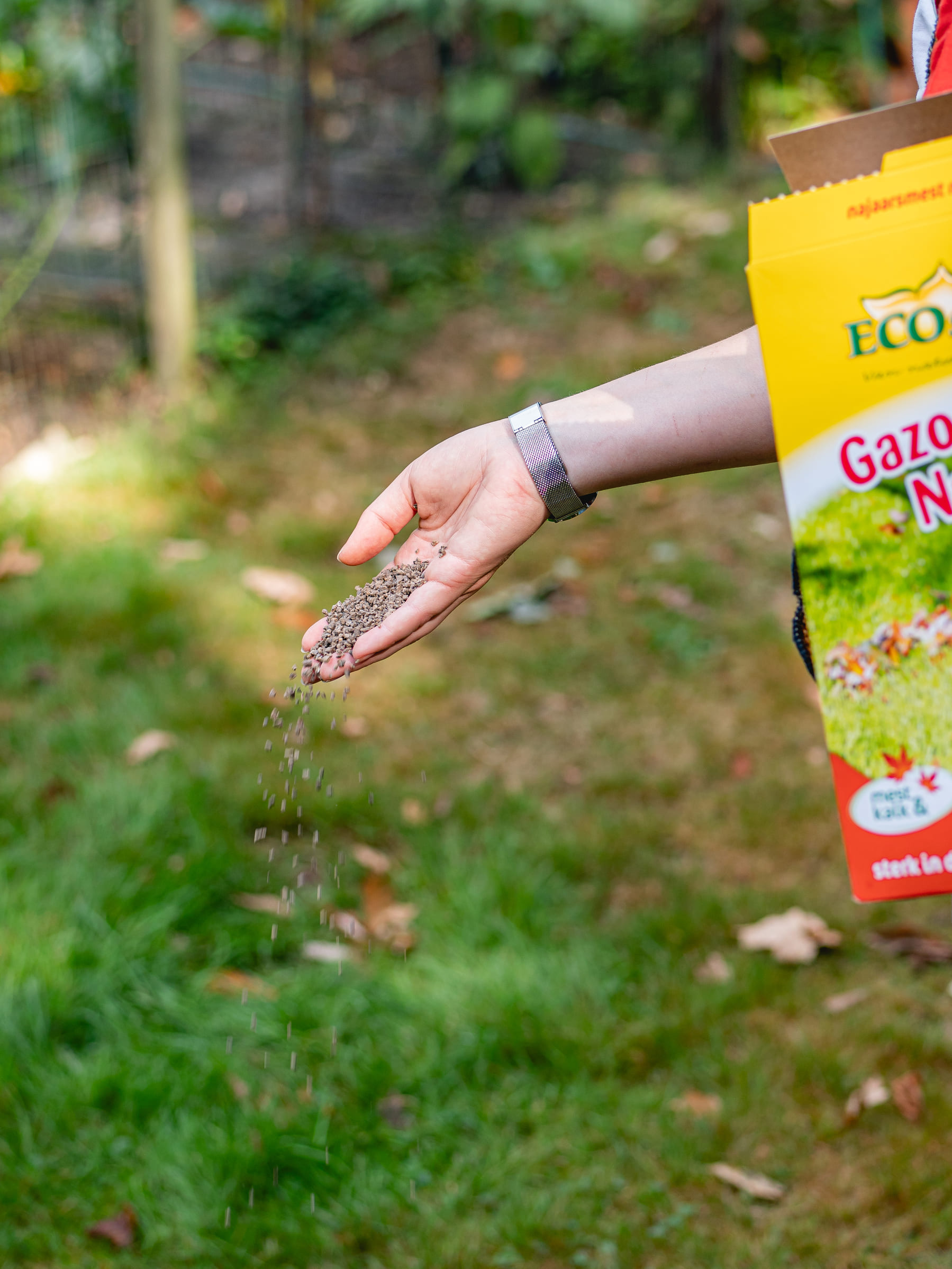 Voor een gezond gazon, het hele jaar door